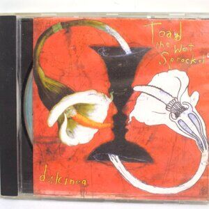 Toad The Wet Sprocket Dulcinea CD 1994!